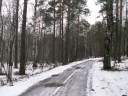 2007_01__016.JPG