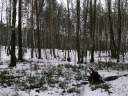 2007_01__020.JPG
