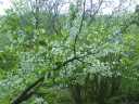 2007_05__003.jpg