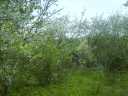 2007_05__005.jpg