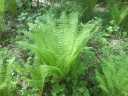 2007_05__007.jpg