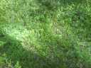 2007_05__008.jpg