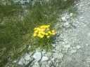 2007_05__010.jpg