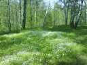 2007_05__017.jpg