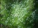 2007_05__019.jpg