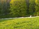 2007_05__025.jpg
